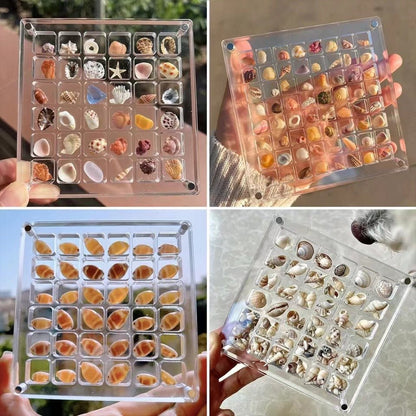 Acrylic Magnetic Seashell Display Box, 36/64/100 Grids Seashell Display Box - Corner Cutie