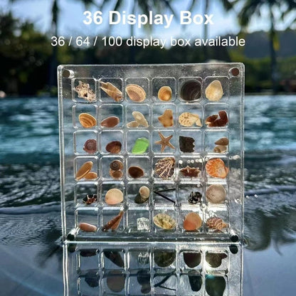 Acrylic Magnetic Seashell Display Box, 36/64/100 Grids Seashell Display Box - Corner Cutie