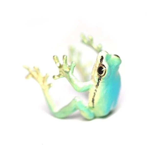 Latest - tree Frog Ring - Corner Cutie